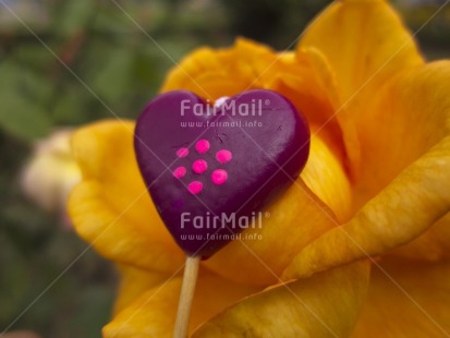 Fair Trade Photo Colour image, Day, Flower, Food and alimentation, Fruits, Heart, Horizontal, Love, Orange, Outdoor, Peru, Purple, South America, Valentines day