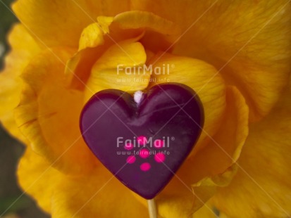 Fair Trade Photo Colour image, Day, Flower, Food and alimentation, Fruits, Heart, Horizontal, Love, Orange, Outdoor, Peru, Purple, South America, Valentines day
