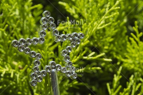 Fair Trade Photo Christianity, Christmas, Colour image, Day, Green, Horizontal, New Year, Outdoor, Peru, Silver, South America, Star, Tree