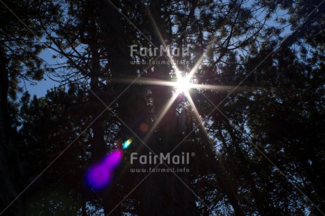 Fair Trade Photo Condolence-Sympathy, Day, Europe, Forest, Horizontal, Light, Nature, Outdoor, Religion, Spirituality, Star, Tree