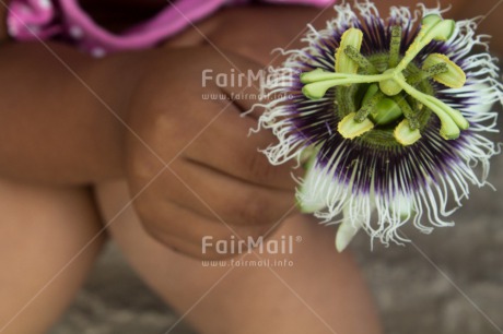 Fair Trade Photo Activity, Closeup, Colour image, Flower, Giving, Horizontal, One girl, People, Peru, South America