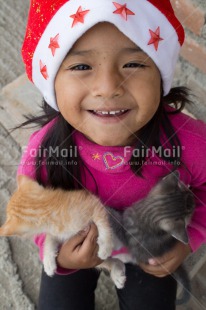 Fair Trade Photo Activity, Animals, Cat, Christmas, Colour image, Cute, Kitten, Looking at camera, One girl, People, Peru, Smiling, South America, Vertical