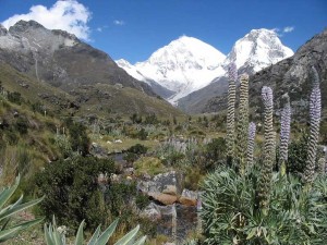 cordillera