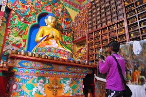visiting a Buddhist monastery in Darjeeling, India