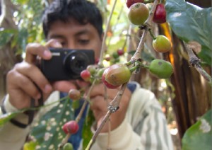 Taking coffee photo's