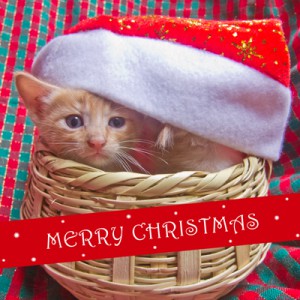 FairMail Christmas card by Anidela (16)